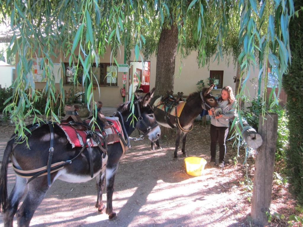 Le Vallon Ispagnac Екстериор снимка